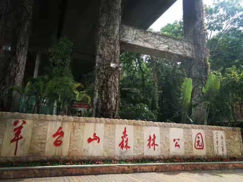 领航集团年深圳羊台山之行